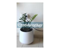 Λευκή κεραμική γλάστρα - κασπώ